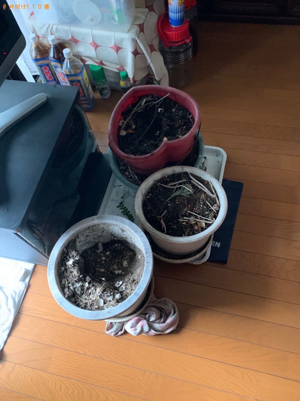 【名古屋市】カラーボックス、衣装ケース、鉢植え、物干し竿等の回収