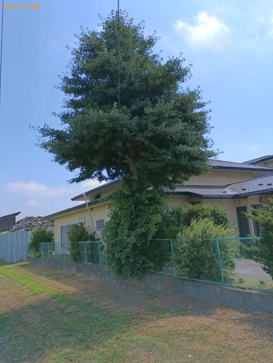 木の剪定作業ご依頼　お客様の声